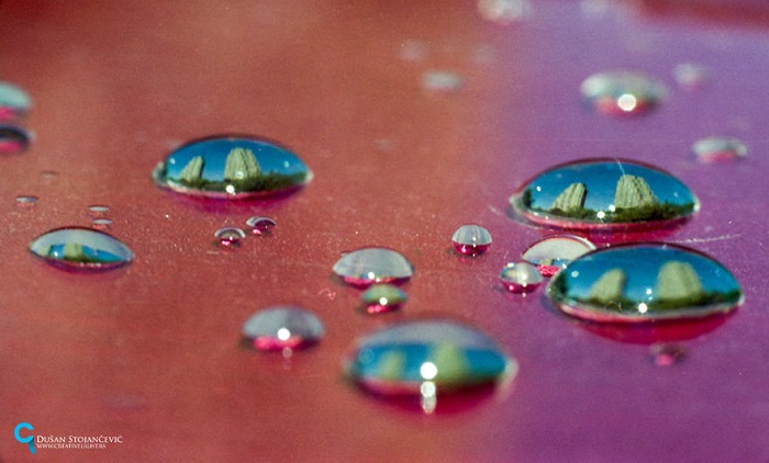 See the whole World in one drop of water - PHOTOS